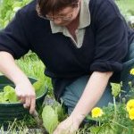 Image / illustration