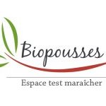 Image / illustration