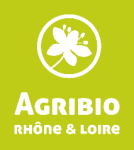 Image / illustration