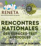 Image / illustration