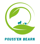 Image / illustration