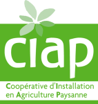 Image / illustration