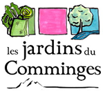 Image / illustration