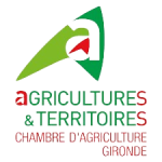 Image / illustration