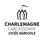 Image / illustration