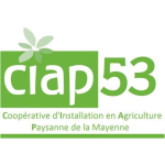 Image / illustration