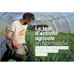 Image / illustration