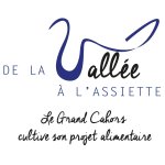 Image / illustration