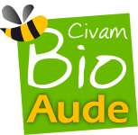 Image / illustration