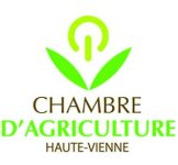 Image / illustration