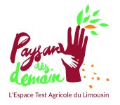 Image / illustration