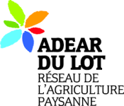 Image / illustration