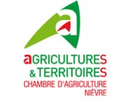 Image / illustration