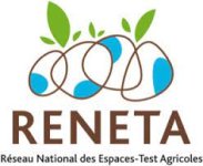 Image / illustration