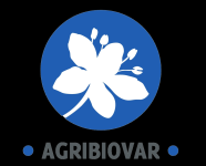 Image / illustration