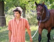 Image / illustration