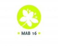 Image / illustration