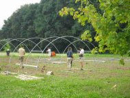 Image / illustration