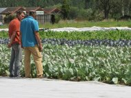 Image / illustration