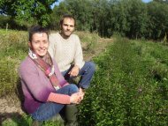 Image / illustration