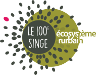 Image / illustration