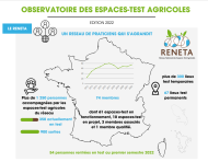 Image / illustration