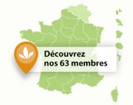 Image / illustration