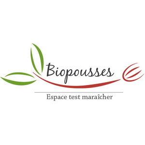 Image / illustration