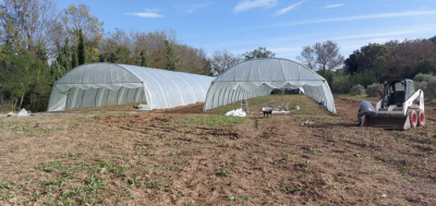 Image / illustration