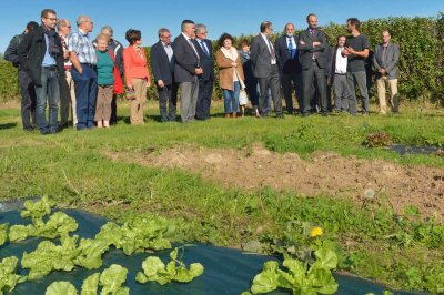 Image / illustration