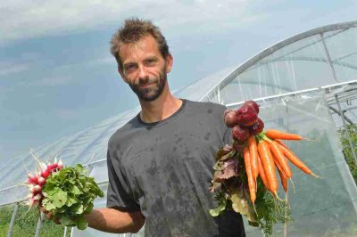 Image / illustration