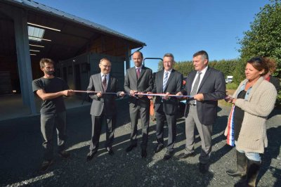 Image / illustration