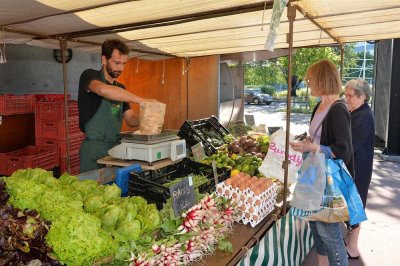 Image / illustration