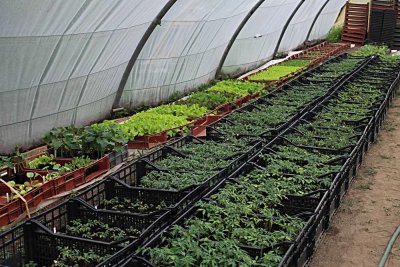 Image / illustration