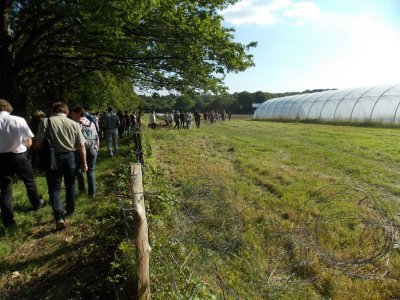 Image / illustration