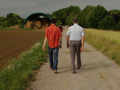 Image / illustration