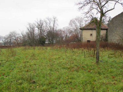 Image / illustration