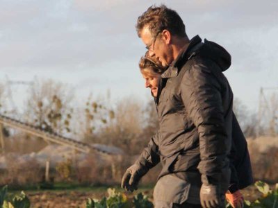 Image / illustration