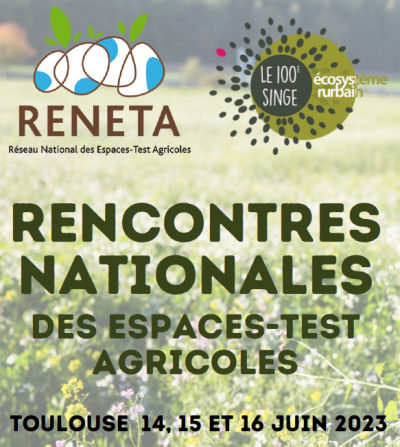 Image / illustration